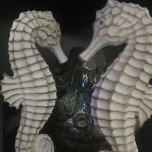 Set of 2 Resin Seahorses 7"